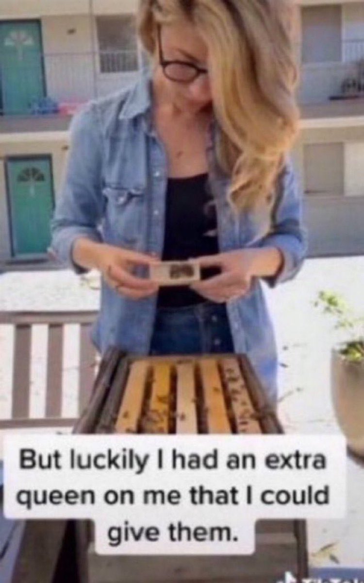 xibatinha💋 tweet media