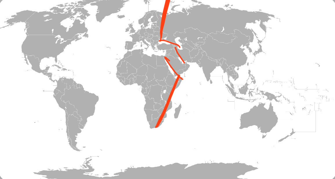 Rubén Gisbert tweet media