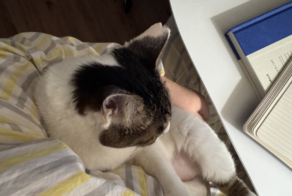 𝑖𝑛𝑔 tweet media