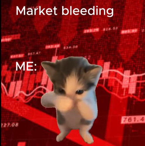 scubacat tweet media