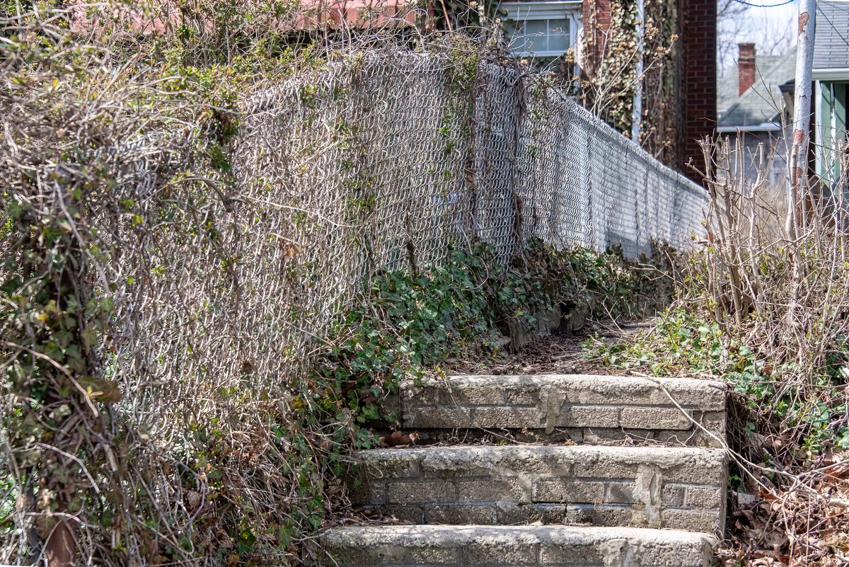 Mr. P. Explores tweet media