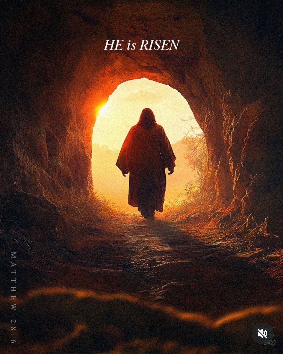 Tony Boyd Jr tweet media