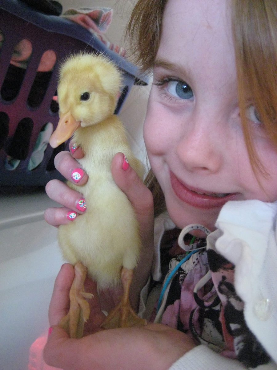 Brooke Shields tweet media