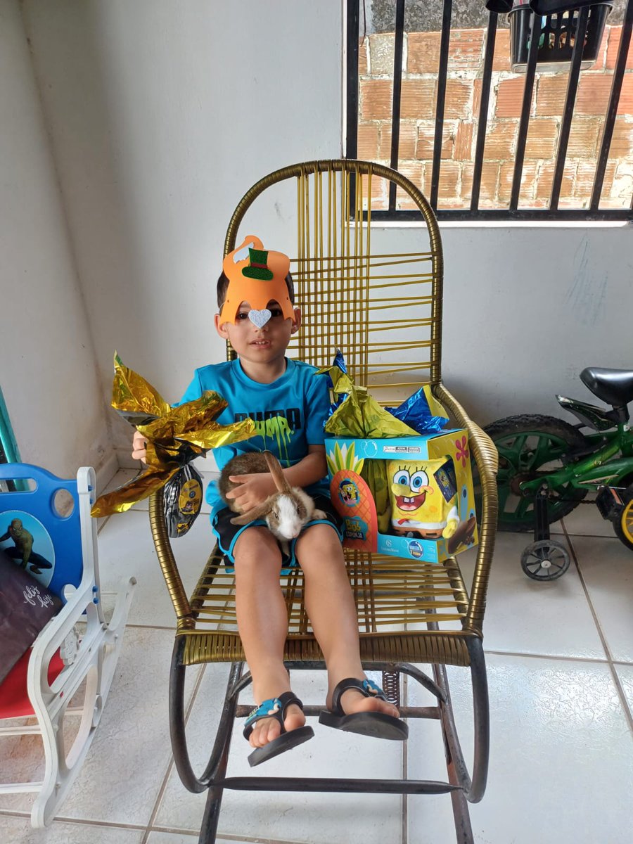 Laninha Bolsogata 😎🇧🇷🌵 tweet media