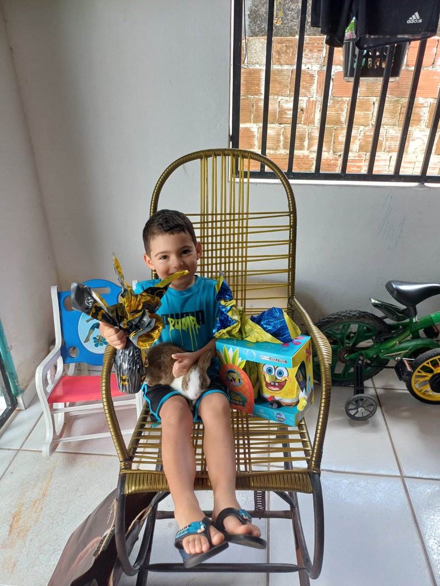 Laninha Bolsogata 😎🇧🇷🌵 tweet media