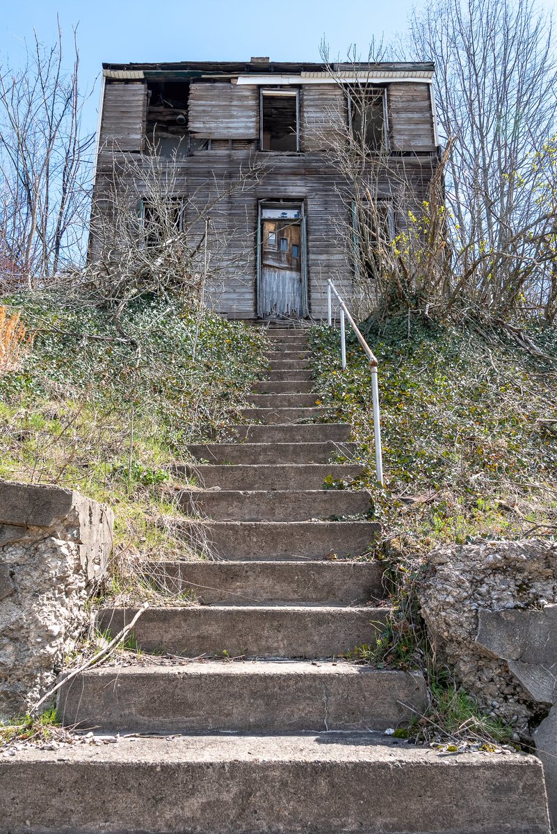 Mr. P. Explores tweet media