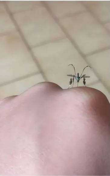 Bayrak Medya tweet media