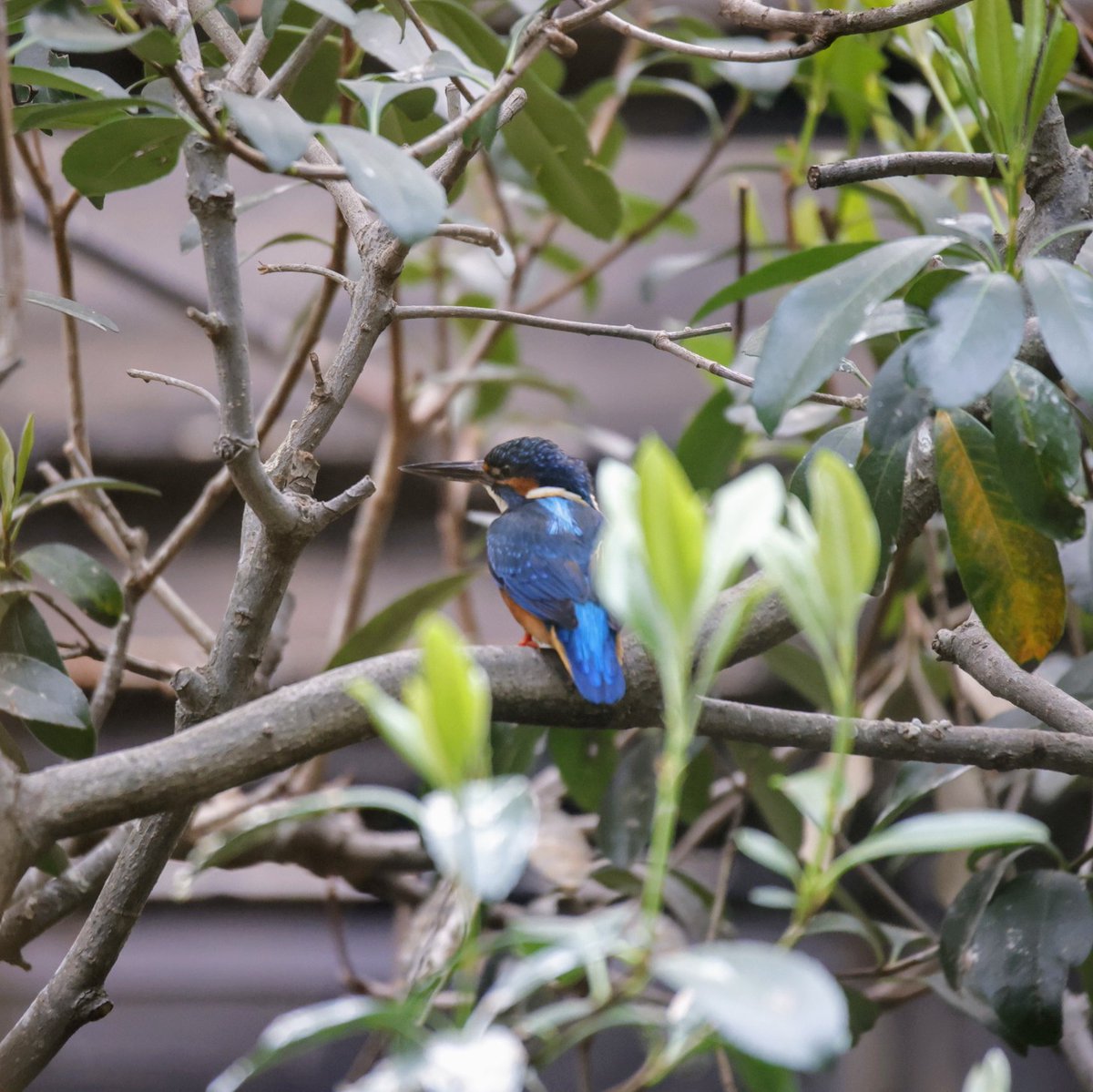 泰允(Tai-yun)@写真置いてけ なあ tweet media