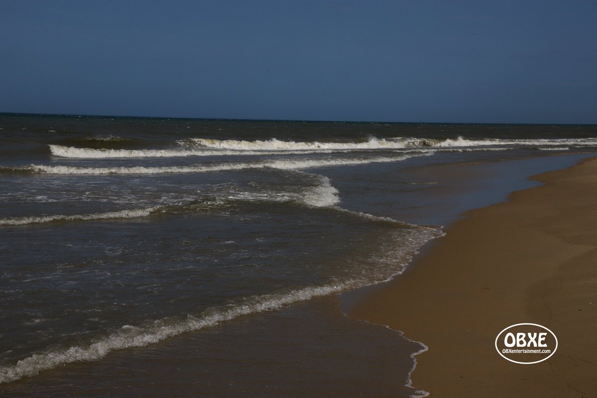 OBX Entertainment tweet media