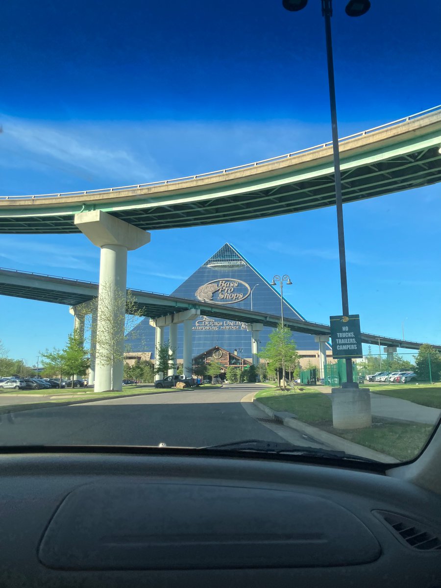 edric the guild navigator ☾ ☆ tweet media