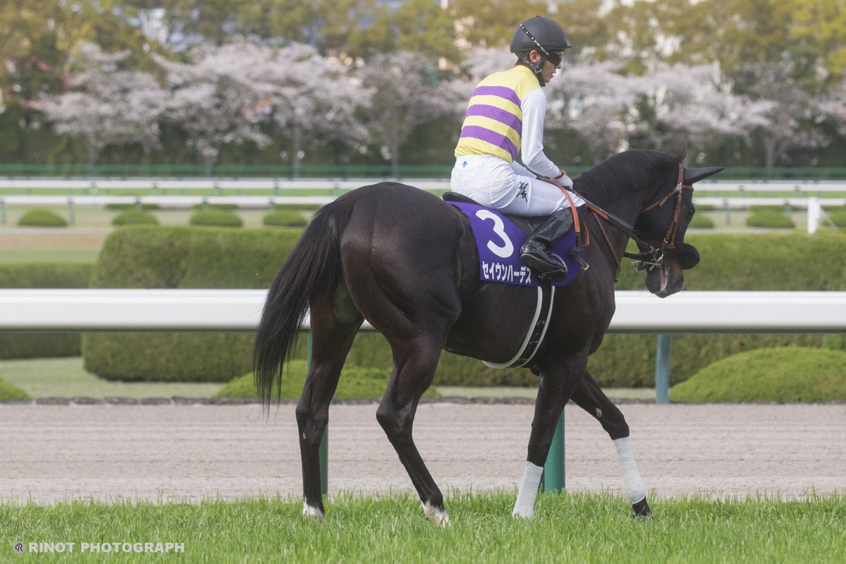 RINOT(リノ) tweet media