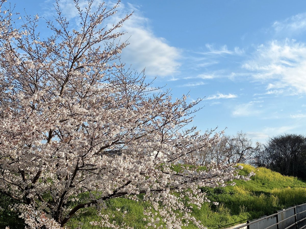 maacci2022's tweet photo. おはようございます☀️
勉強していきます☺️
昨日は甥っ子の大学入学祝いで家族集合☺️
久しぶりに会う可愛い甥っ子💞
卒業したのは高校だけじゃなく、黒髪とピュアな耳たぶでした🫣 https://t.co/MezFADditE
