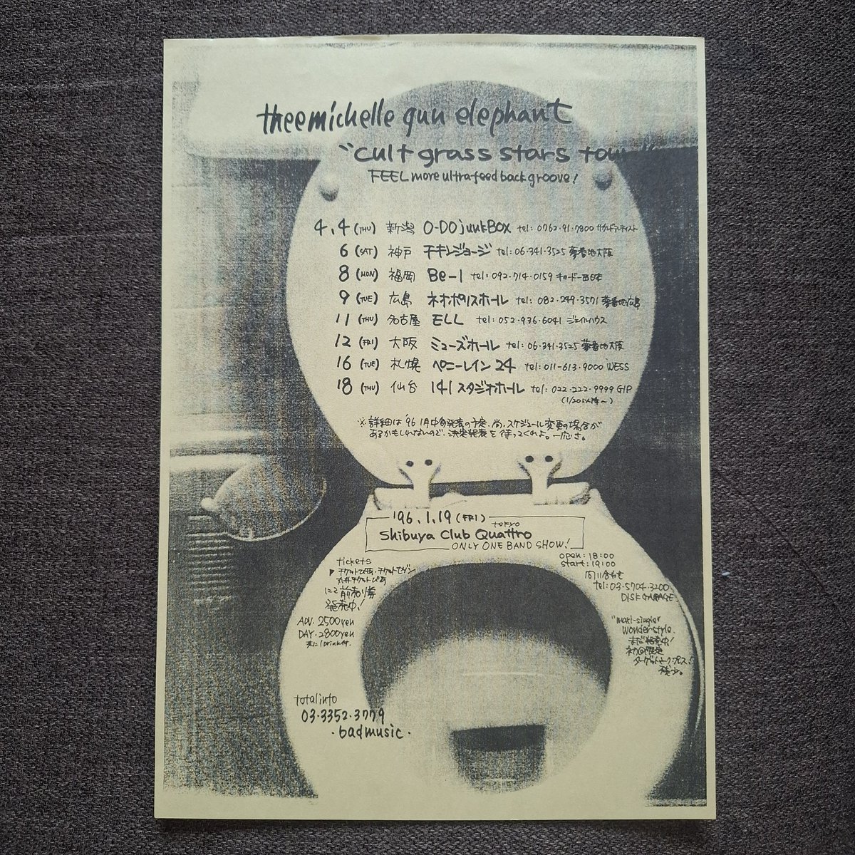 ふーみん tweet media