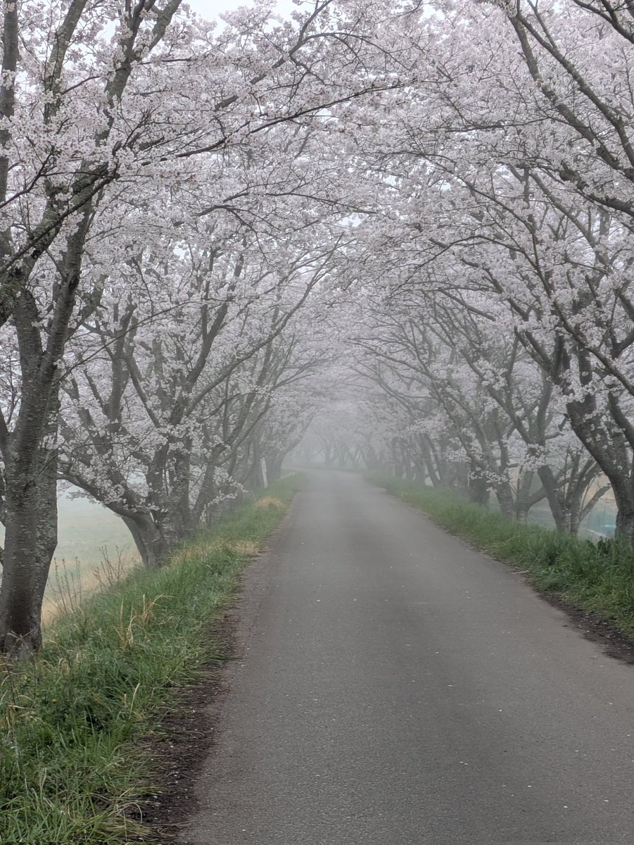 蘭陵王 tweet media