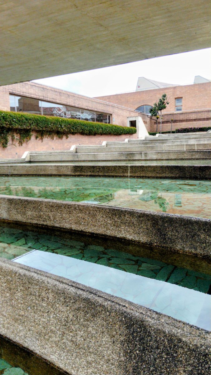 Carolina Silva tweet media