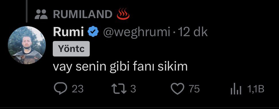 rignning tweet media