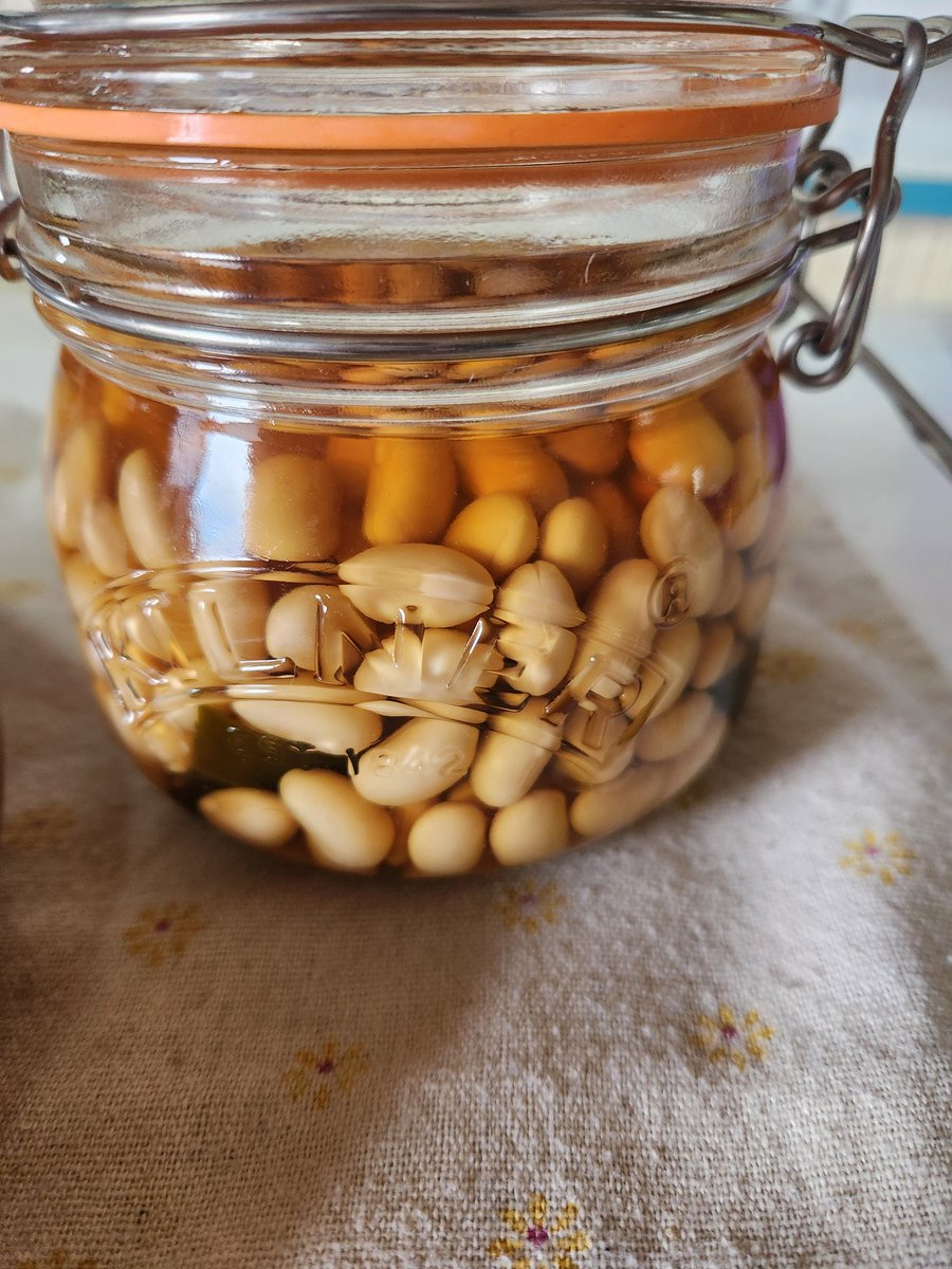 シャインともちん tweet media