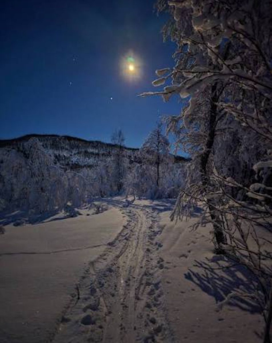 Lucid808x's tweet photo. dem absolutt ikke tid til. Hadde tatt maks 5 min. Kjøper meg skalpell, gjør det sjøl. Nyter to fullmåner på fjellet, krasjer bilen med vilje 1. April 2025 og bryter kontakten med fullblods psykopatene. https://t.co/azThCWAC0X
