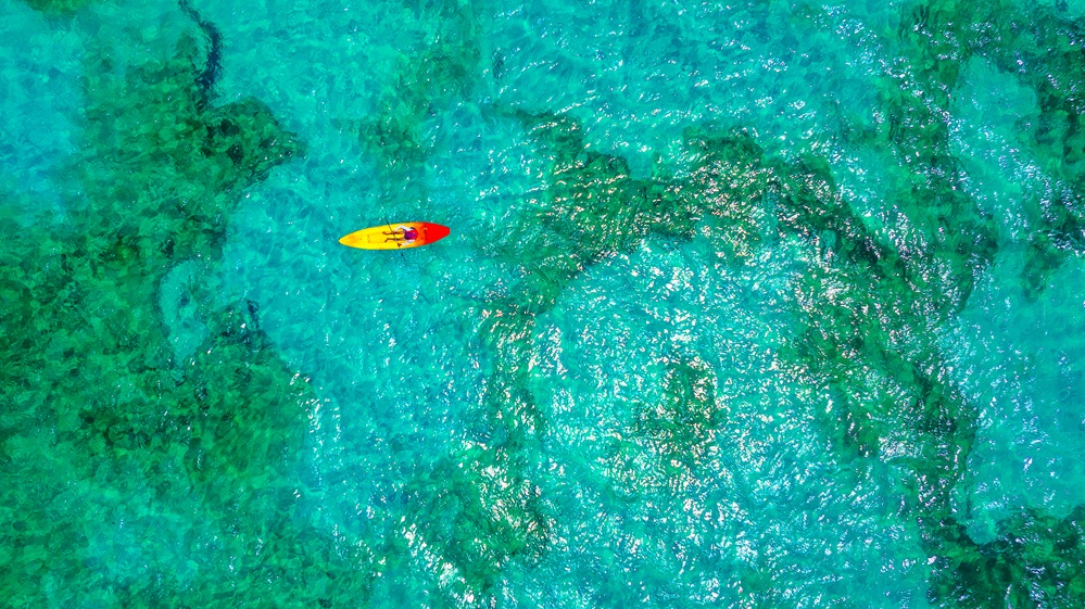 Jolly Beach Antigua tweet media