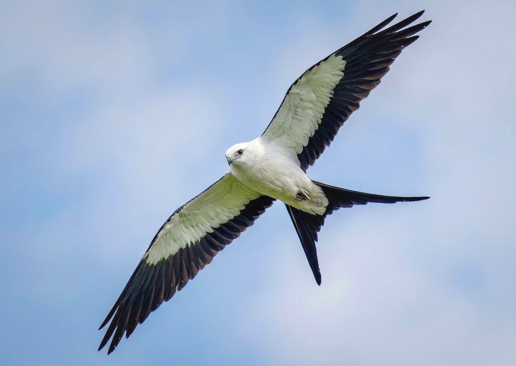 Romel  Romero ™ tweet media