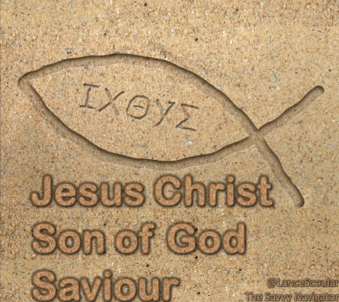 Lance Scoular🧭🌐The Savvy Navigator tweet media