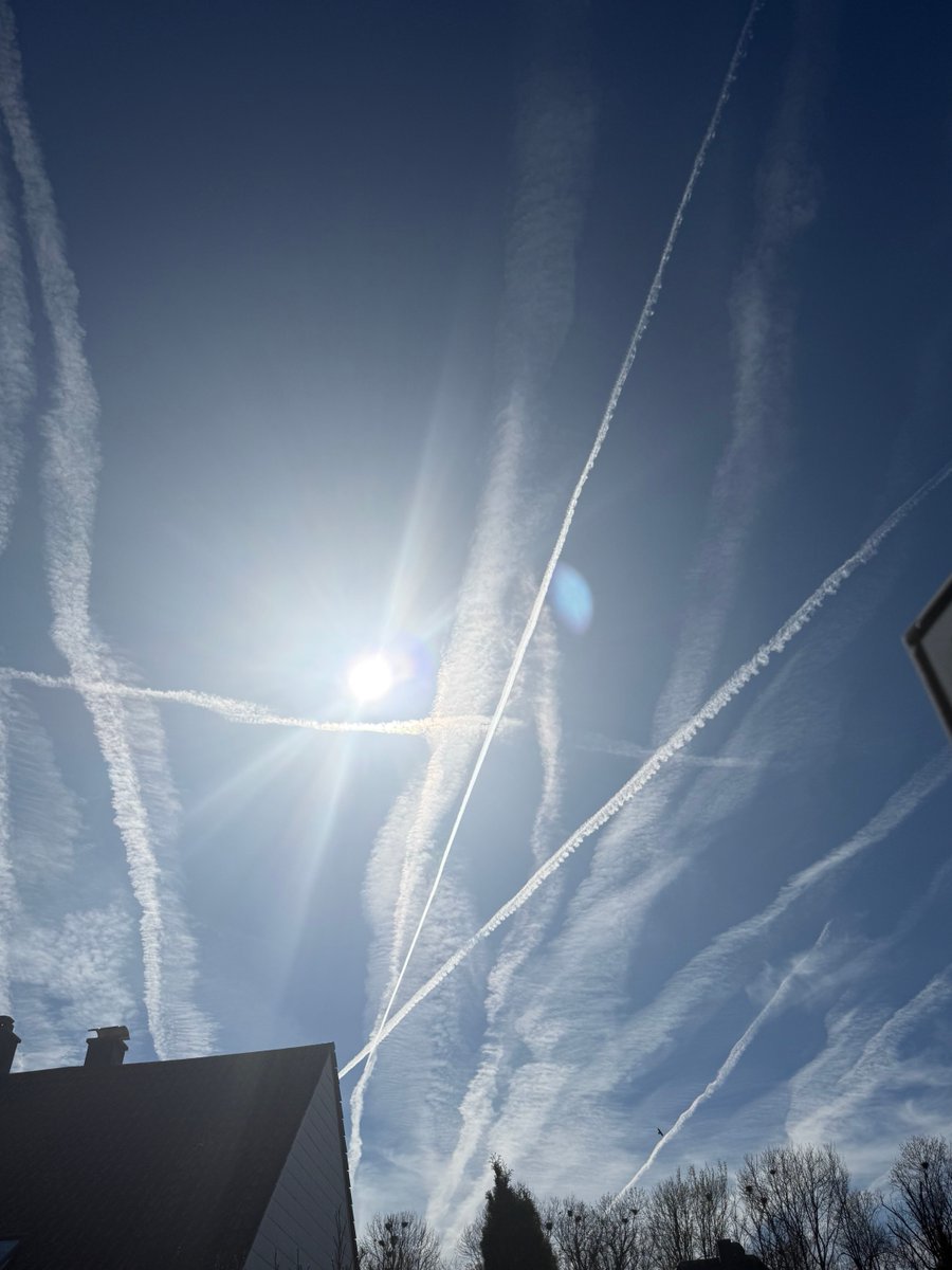 Monika Gruber tweet media