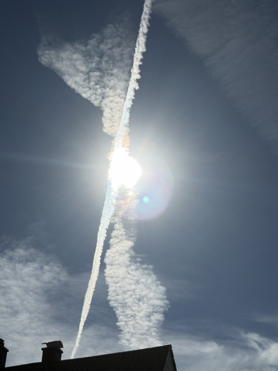 Monika Gruber tweet media