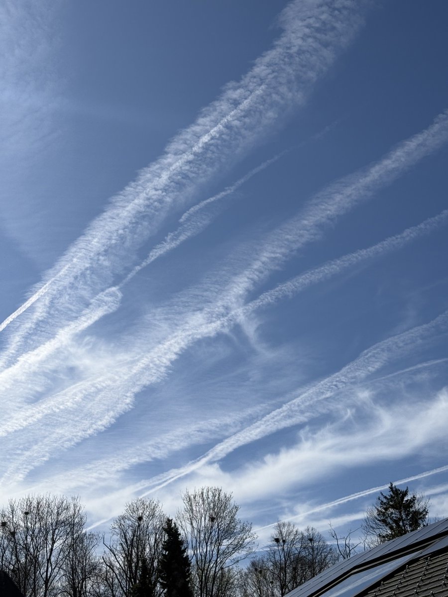 Monika Gruber tweet media