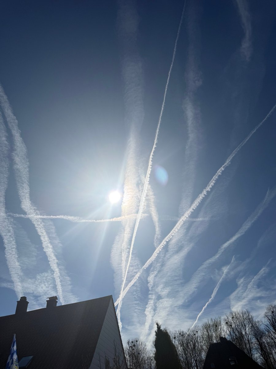 Monika Gruber tweet media