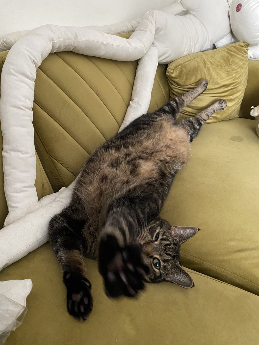 ragtime randy tweet media