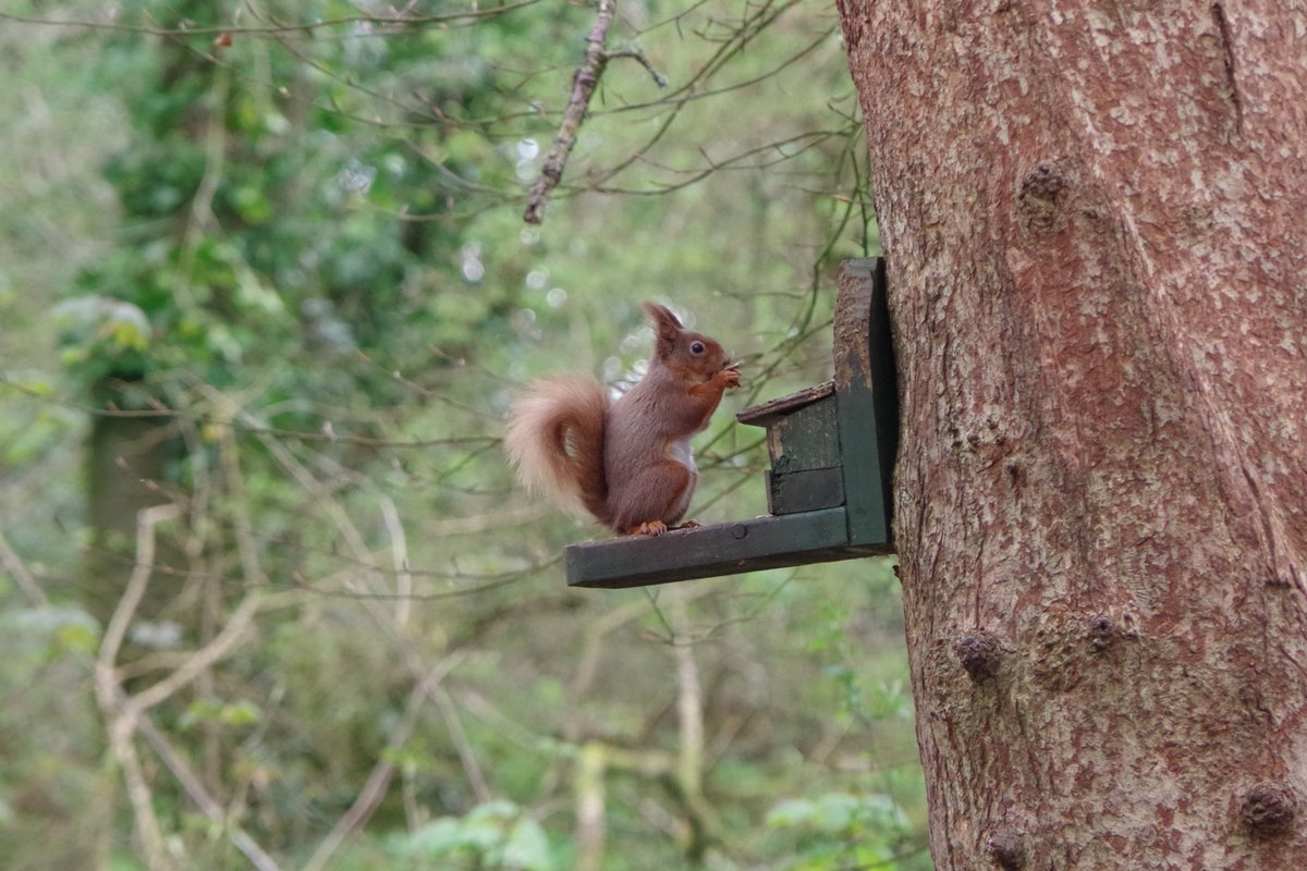 Yumi Mihara tweet media