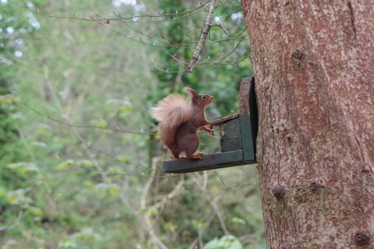 Yumi Mihara tweet media