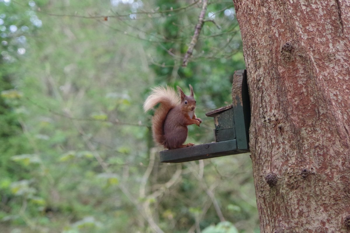 Yumi Mihara tweet media