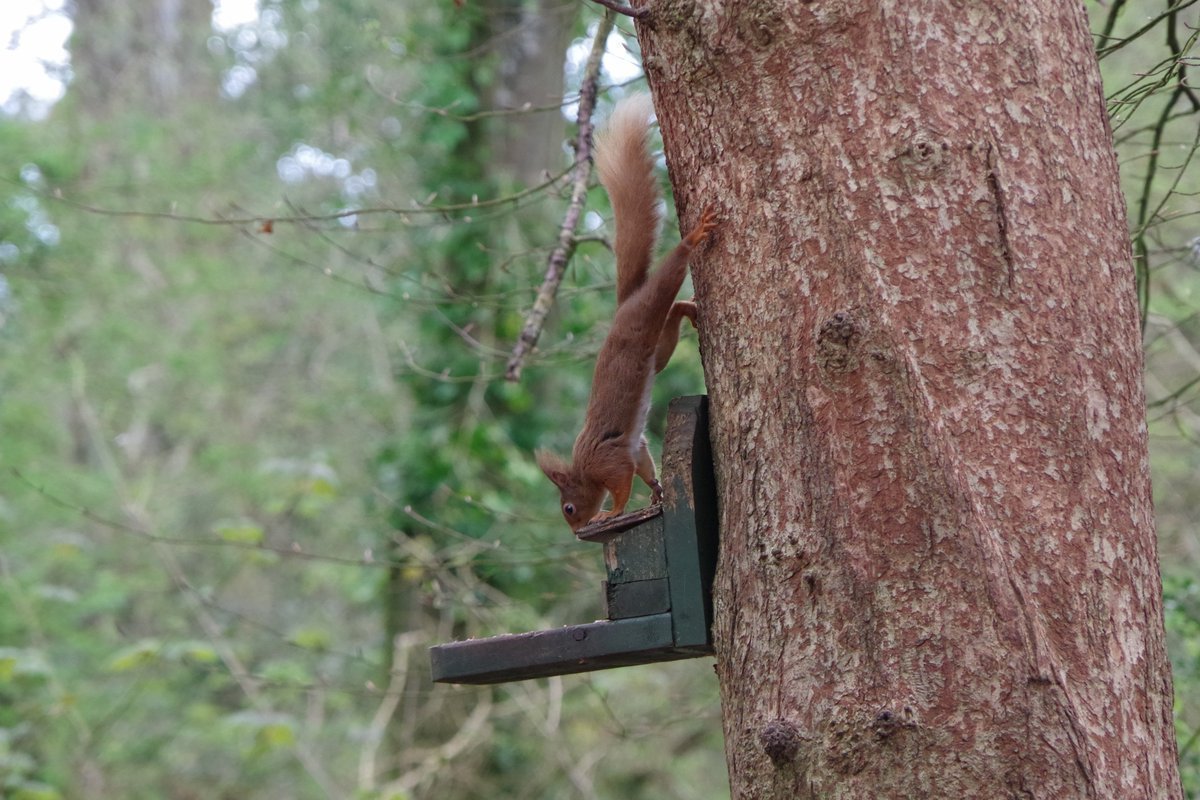 Yumi Mihara tweet media