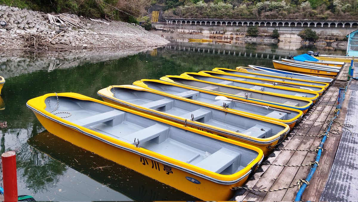 釣船小川亭@相模湖 tweet media