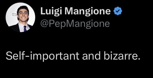 ˖ ࣪⊹ Vee ⊹ ࣪˖ tweet media