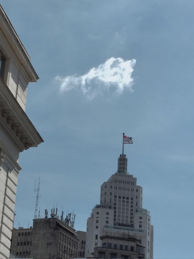 MicroplasticsInMyBlood tweet media