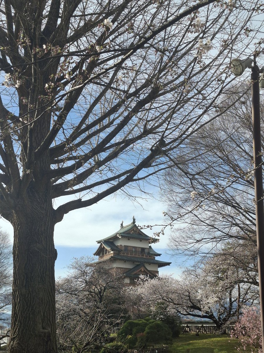 おはようございます☀
昨日の暖かさで桜🌸開花してました！
毎年行くお城公園で少しだけお花見してきました
お天気が☁だったのでキレイに撮れなかったけど…
📷

また1週間始まりましたね
今週は気温差がヤバイ⚠らしいので
体調崩さぬようボチボチ行きましょ💨