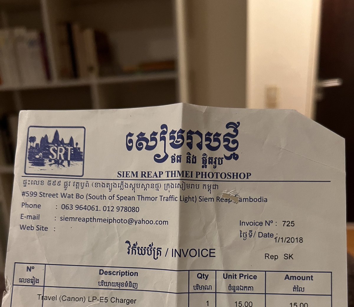 opossum in blossom 🏳️‍⚧️ tweet media