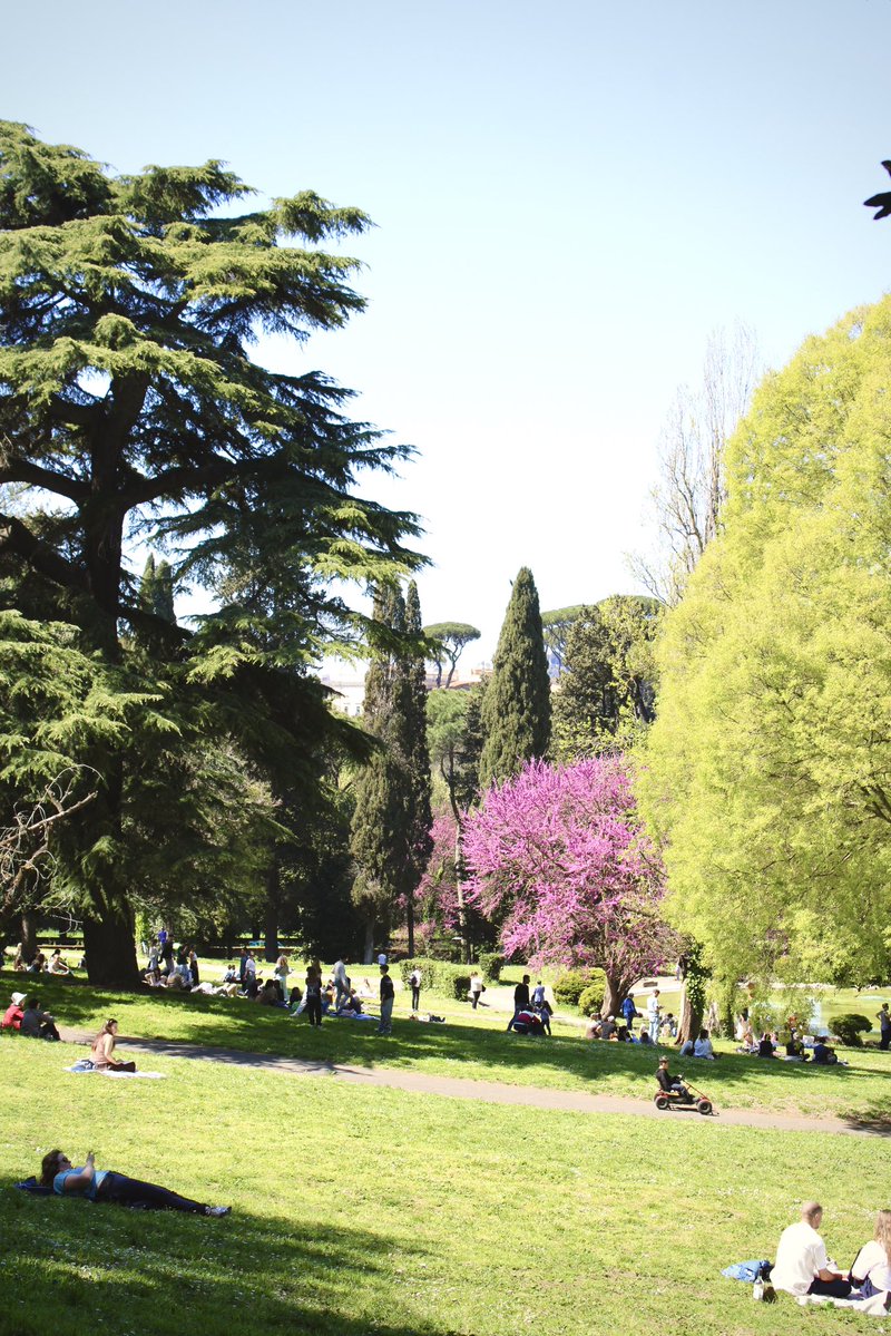 Edoardo Fanfani tweet media