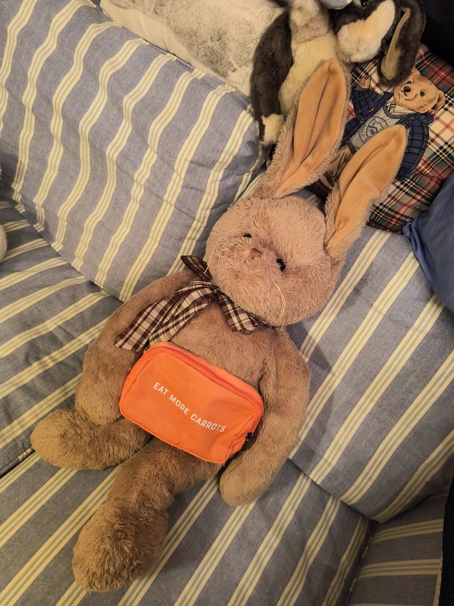 Manhattanpeachy's tweet photo. #HappyEaster from me and my bunny, #SEAMUS (James in Irish) https://t.co/4qbZuwFJ1g