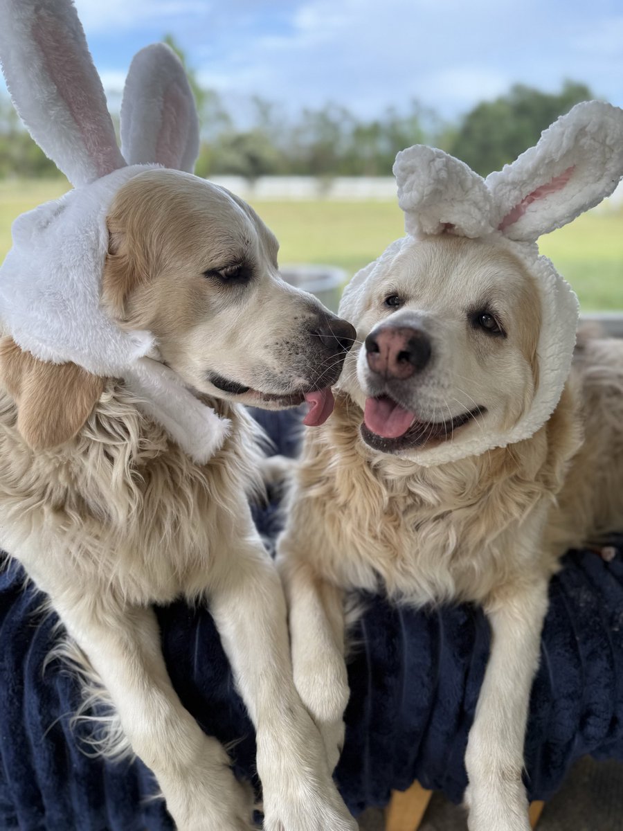 Catturd ™ tweet media