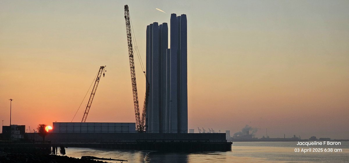 Jacqueline F Baron tweet media