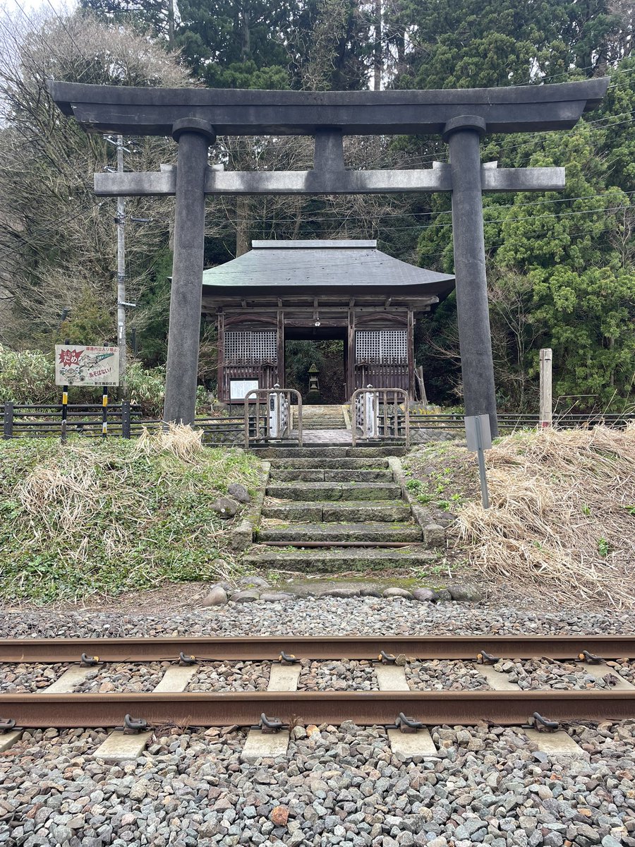 渡仁(とにん) tweet media