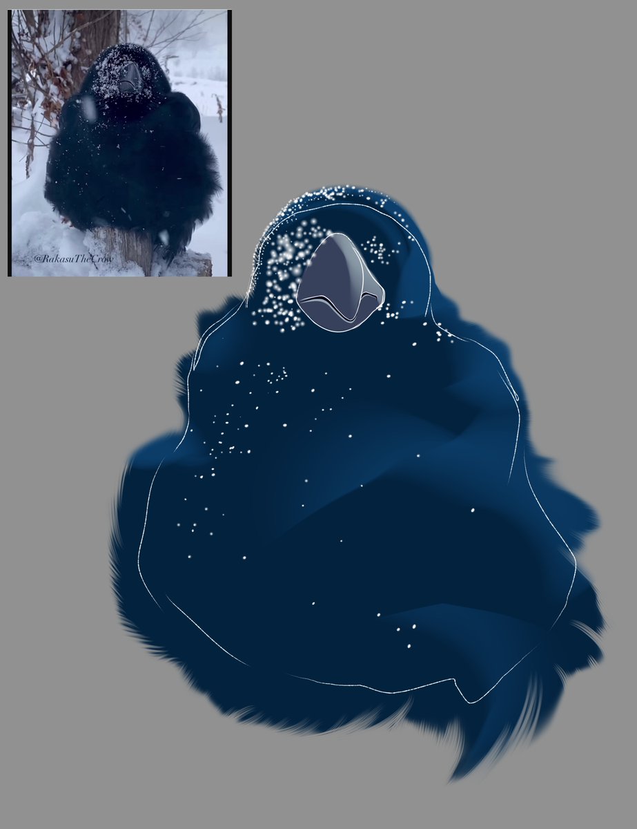 Zecret (Comms Open) (@zecret_colors) on Twitter photo 