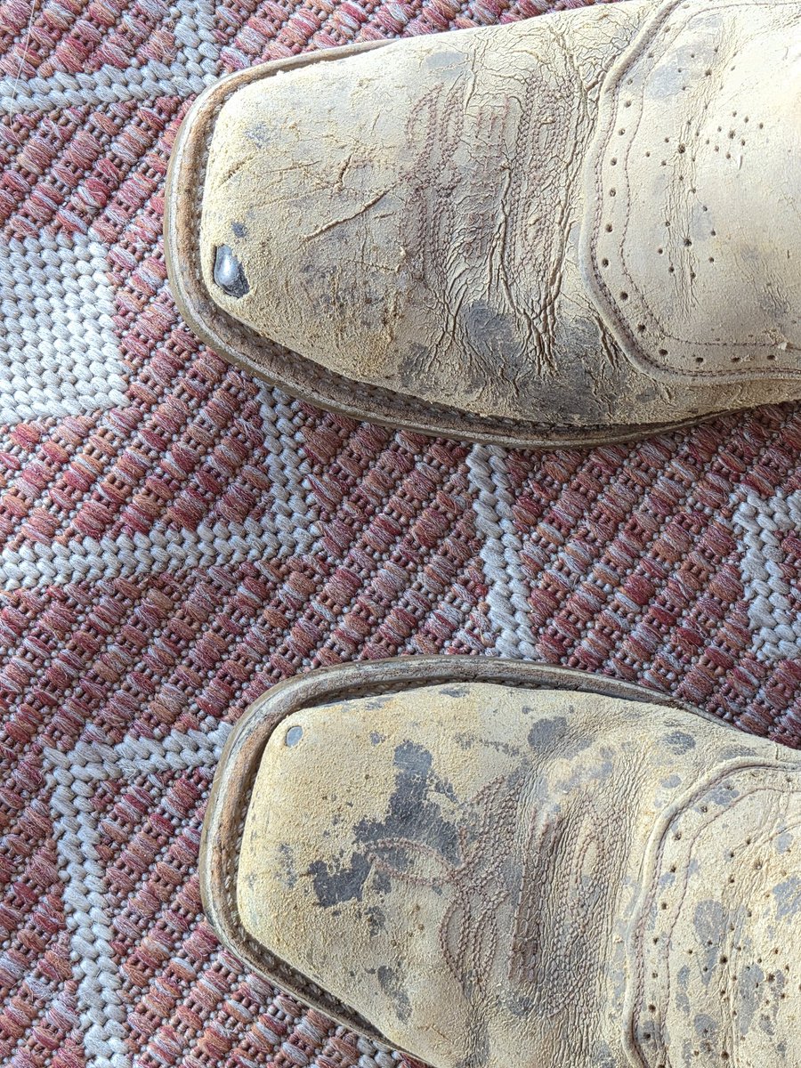 Casey Kimbrell tweet media