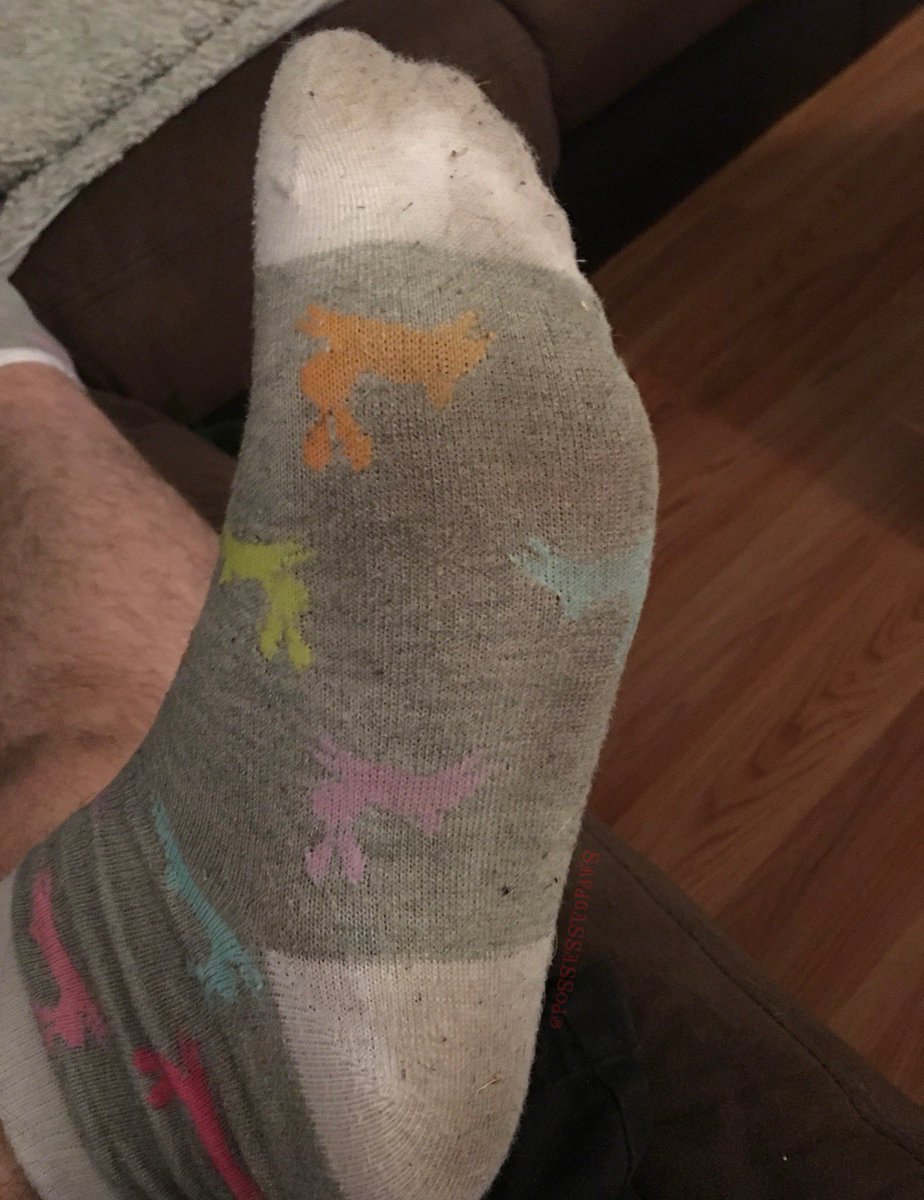 EctoPuppyAD tweet media