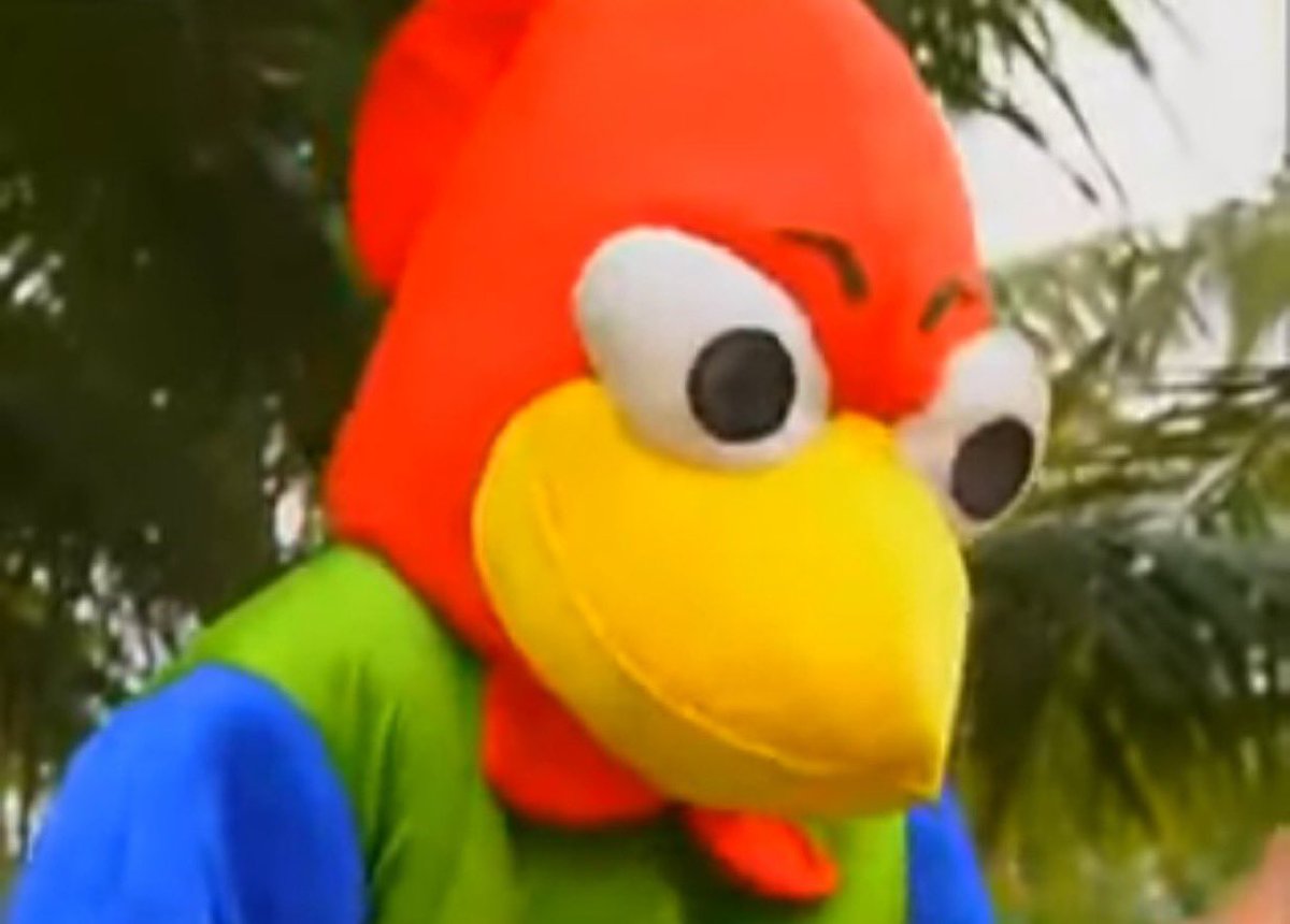 xavi universal tweet media