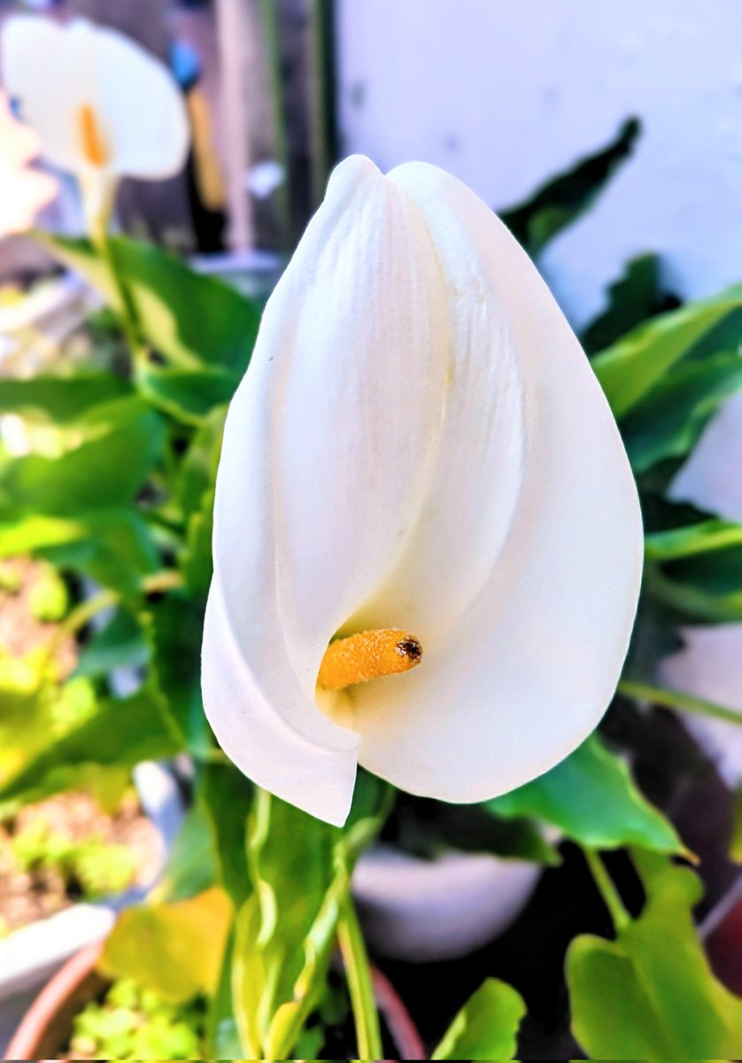 らんらん🌸 tweet media