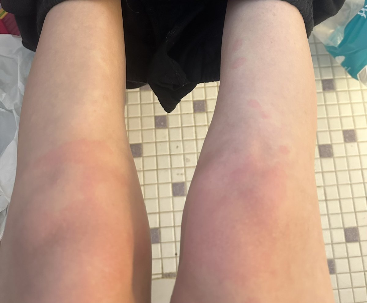 katie podar tweet media